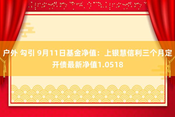 户外 勾引 9月11日基金净值：上银慧信利三个月定开债最新净值1.0518