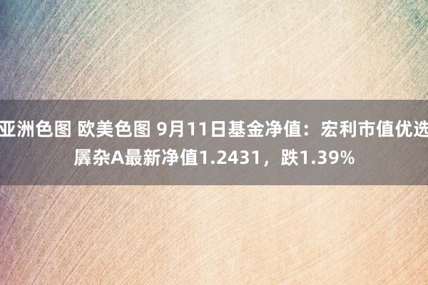 亚洲色图 欧美色图 9月11日基金净值：宏利市值优选羼杂A最新净值1.2431，跌1.39%