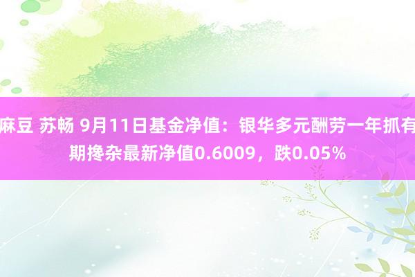 麻豆 苏畅 9月11日基金净值：银华多元酬劳一年抓有期搀杂最新净值0.6009，跌0.05%