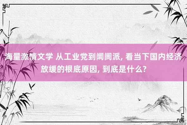 海量激情文学 从工业党到阛阓派， 看当下国内经济放缓的根底原因， 到底是什么?