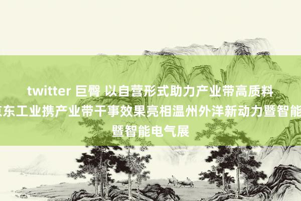 twitter 巨臀 以自营形式助力产业带高质料发展 京东工业携产业带干事效果亮相温州外洋新动力暨智能电气展