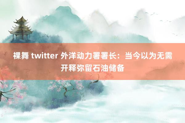 裸舞 twitter 外洋动力署署长：当今以为无需开释弥留石油储备