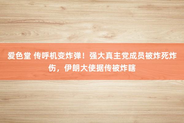 爱色堂 传呼机变炸弹！强大真主党成员被炸死炸伤，伊朗大使据传被炸瞎