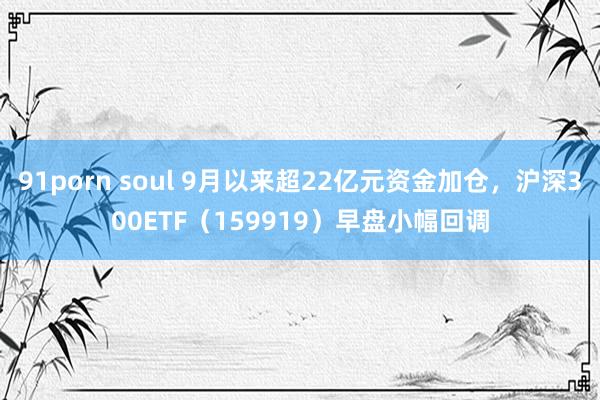 91porn soul 9月以来超22亿元资金加仓，沪深300ETF（159919）早盘小幅回调