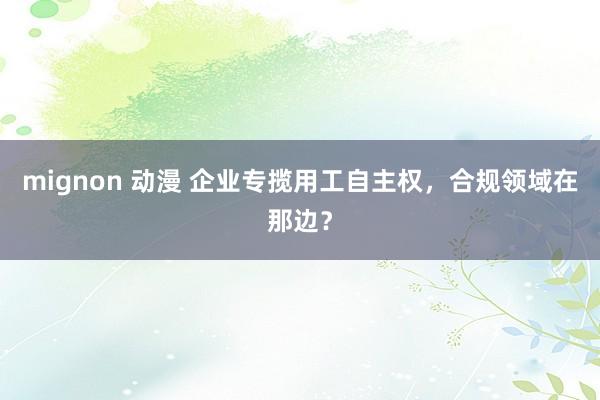 mignon 动漫 企业专揽用工自主权，合规领域在那边？