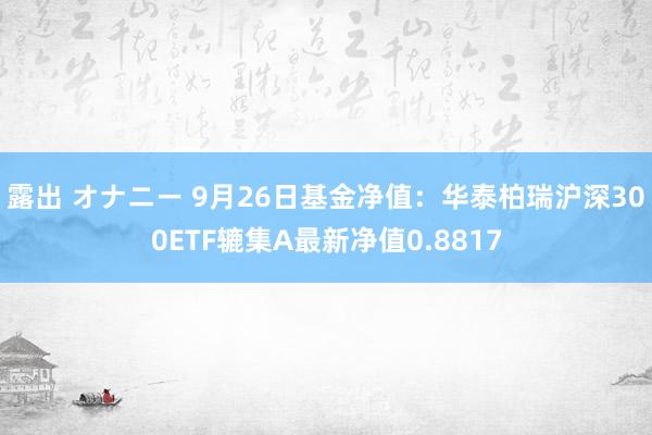 露出 オナニー 9月26日基金净值：华泰柏瑞沪深300ETF辘集A最新净值0.8817