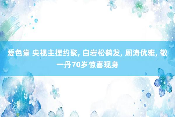 爱色堂 央视主捏约聚， 白岩松鹤发， 周涛优雅， 敬一丹70岁惊喜现身