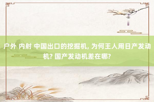 户外 内射 中国出口的挖掘机， 为何王人用日产发动机? 国产发动机差在哪?