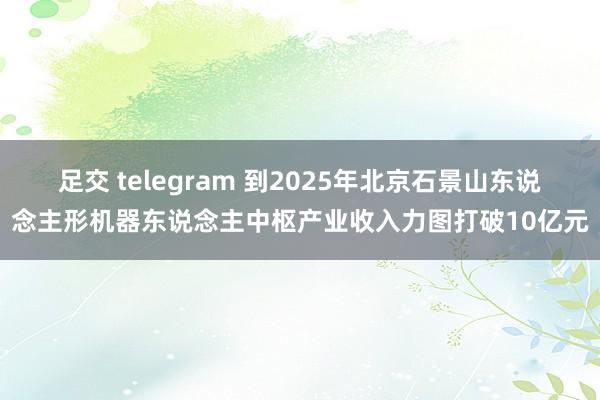 足交 telegram 到2025年北京石景山东说念主形机器东说念主中枢产业收入力图打破10亿元