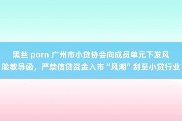 黑丝 porn 广州市小贷协会向成员单元下发风险教导函，严禁信贷资金入市“风潮”刮至小贷行业