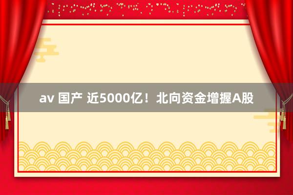 av 国产 近5000亿！北向资金增握A股