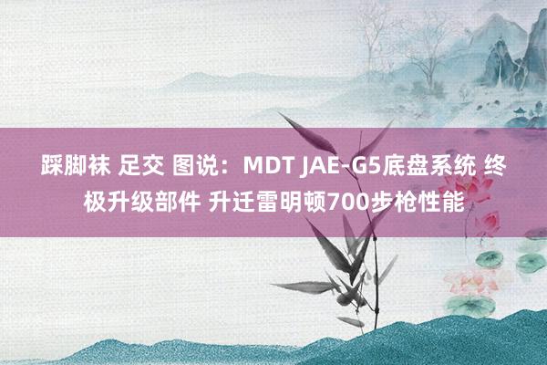 踩脚袜 足交 图说：MDT JAE-G5底盘系统 终极升级部件 升迁雷明顿700步枪性能