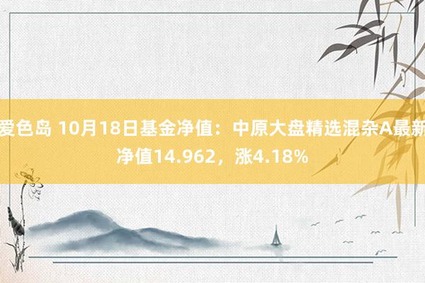 爱色岛 10月18日基金净值：中原大盘精选混杂A最新净值14.962，涨4.18%