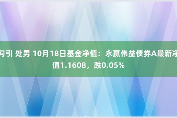 勾引 处男 10月18日基金净值：永赢伟益债券A最新净值1.1608，跌0.05%