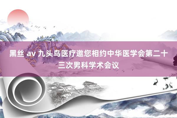 黑丝 av 九头鸟医疗邀您相约中华医学会第二十三次男科学术会议