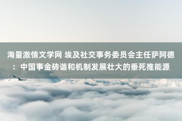 海量激情文学网 埃及社交事务委员会主任萨阿德：中国事金砖谐和机制发展壮大的垂死推能源