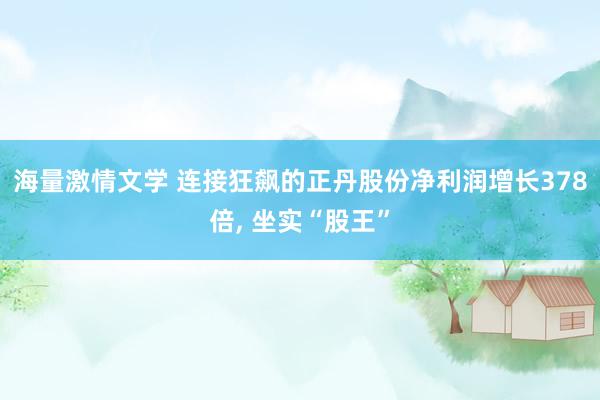 海量激情文学 连接狂飙的正丹股份净利润增长378倍， 坐实“股王”