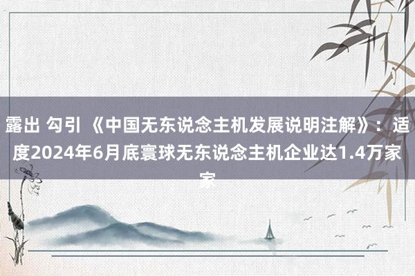 露出 勾引 《中国无东说念主机发展说明注解》：适度2024年6月底寰球无东说念主机企业达1.4万家