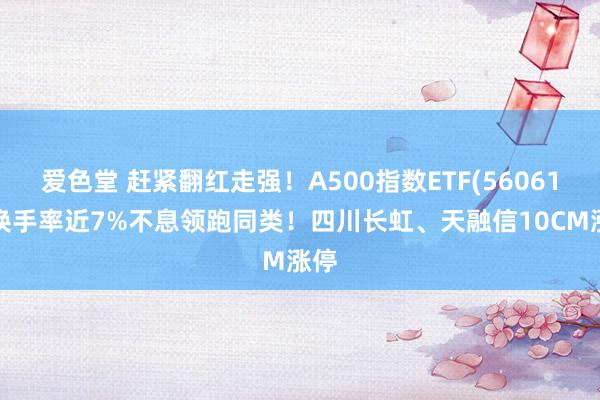 爱色堂 赶紧翻红走强！A500指数ETF(560610)换手率近7%不息领跑同类！四川长虹、天融信10CM涨停