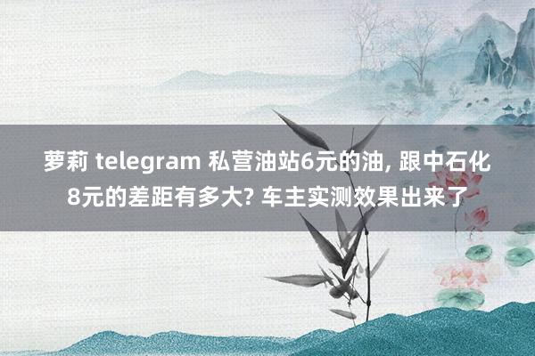 萝莉 telegram 私营油站6元的油， 跟中石化8元的差距有多大? 车主实测效果出来了