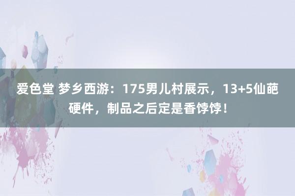 爱色堂 梦乡西游：175男儿村展示，13+5仙葩硬件，制品之后定是香饽饽！