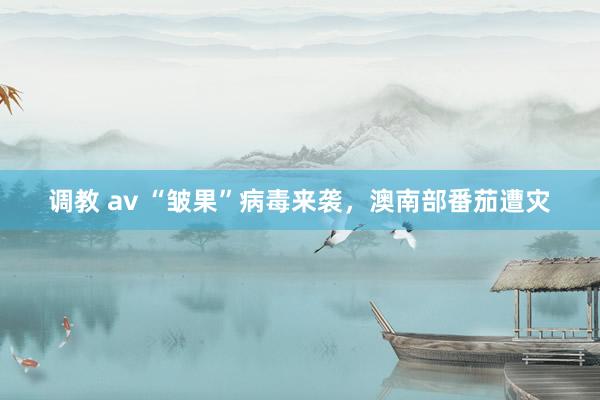 调教 av “皱果”病毒来袭，澳南部番茄遭灾