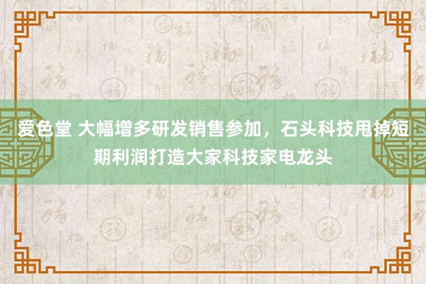 爱色堂 大幅增多研发销售参加，石头科技甩掉短期利润打造大家科技家电龙头