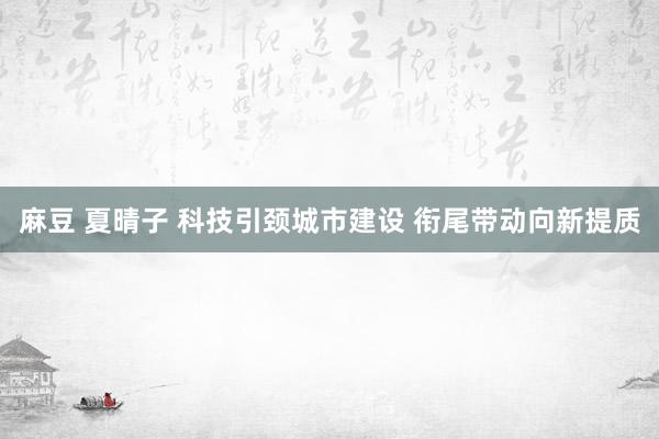 麻豆 夏晴子 科技引颈城市建设 衔尾带动向新提质