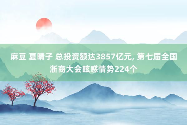 麻豆 夏晴子 总投资额达3857亿元， 第七届全国浙商大会眩惑情势224个