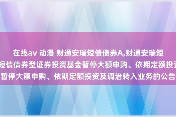 在线av 动漫 财通安瑞短债债券A，财通安瑞短债债券C: 对于财通安瑞短债债券型证券投资基金暂停大额申购、依期定额投资及调治转入业务的公告