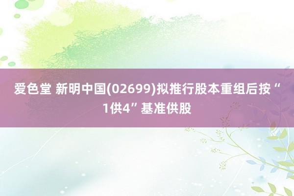 爱色堂 新明中国(02699)拟推行股本重组后按“1供4”基准供股