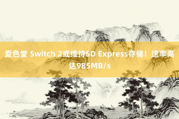 爱色堂 Switch 2或维持SD Express存储！速率高达985MB/s