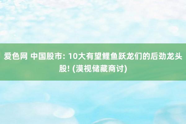 爱色网 中国股市: 10大有望鲤鱼跃龙们的后劲龙头股! (漠视储藏商讨)