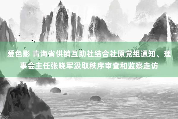 爱色影 青海省供销互助社结合社原党组通知、理事会主任张晓军汲取秩序审查和监察走访