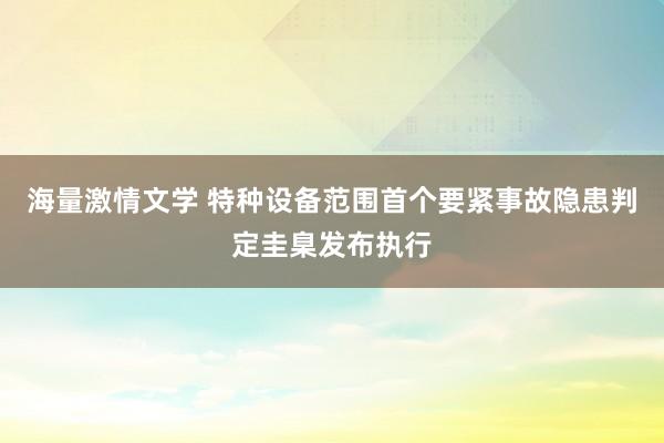 海量激情文学 特种设备范围首个要紧事故隐患判定圭臬发布执行