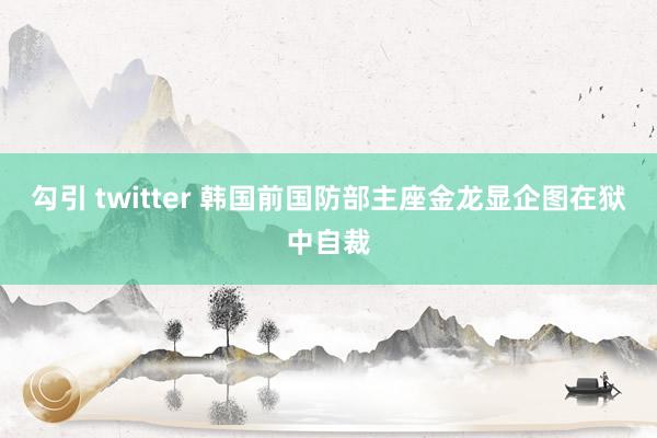 勾引 twitter 韩国前国防部主座金龙显企图在狱中自裁