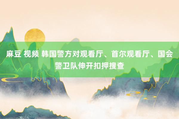 麻豆 视频 韩国警方对观看厅、首尔观看厅、国会警卫队伸开扣押搜查