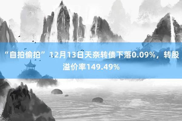 “自拍偷拍” 12月13日天奈转债下落0.09%，转股溢价率149.49%