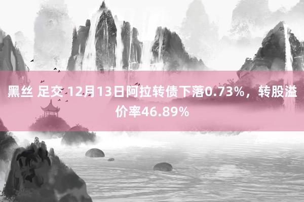 黑丝 足交 12月13日阿拉转债下落0.73%，转股溢价率46.89%