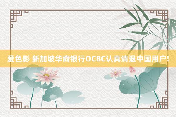 爱色影 新加坡华裔银行OCBC认真清退中国用户!