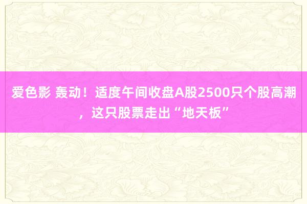 爱色影 轰动！适度午间收盘A股2500只个股高潮，这只股票走出“地天板”