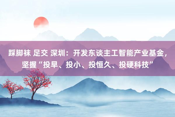 踩脚袜 足交 深圳：开发东谈主工智能产业基金，坚握“投早、投小、投恒久、投硬科技”