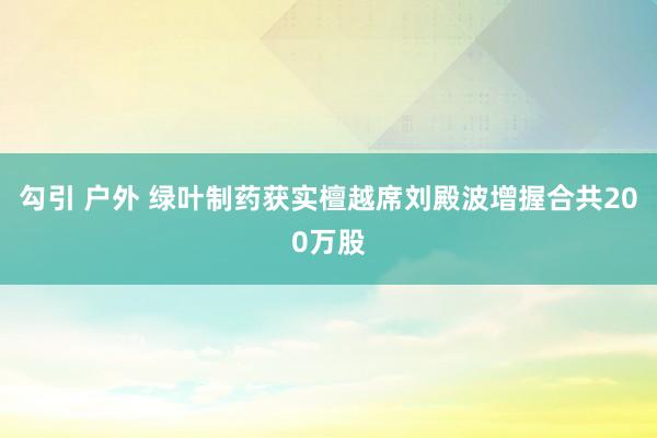 勾引 户外 绿叶制药获实檀越席刘殿波增握合共200万股