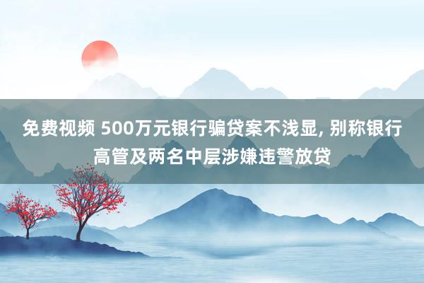 免费视频 500万元银行骗贷案不浅显， 别称银行高管及两名中层涉嫌违警放贷