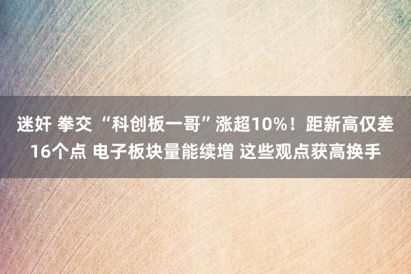 迷奸 拳交 “科创板一哥”涨超10%！距新高仅差16个点 电子板块量能续增 这些观点获高换手