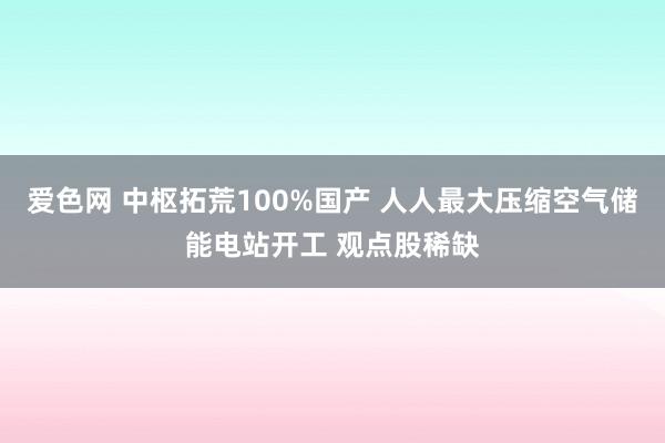 爱色网 中枢拓荒100%国产 人人最大压缩空气储能电站开工 观点股稀缺