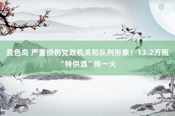 爱色岛 严重损伤党政机关和队列形象！13.2万瓶“特供酒”阵一火