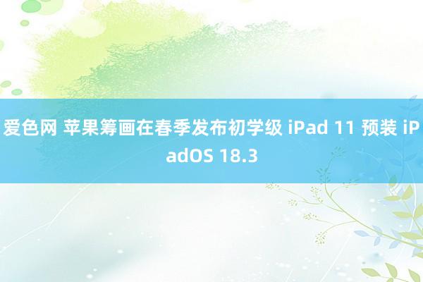 爱色网 苹果筹画在春季发布初学级 iPad 11 预装 iPadOS 18.3