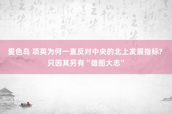 爱色岛 项英为何一直反对中央的北上发展指标? 只因其另有“雄图大志”