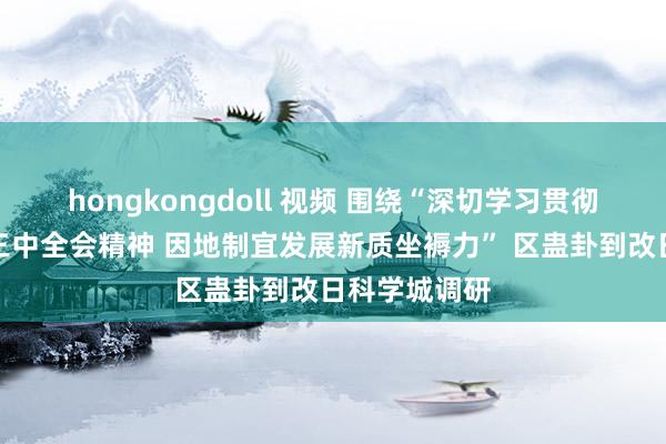 hongkongdoll 视频 围绕“深切学习贯彻党的二十届三中全会精神 因地制宜发展新质坐褥力” 区蛊卦到改日科学城调研